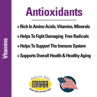 Antioxidants with Coenzyme Q-10 Chewable Tablets Dog Supplement, 120 count