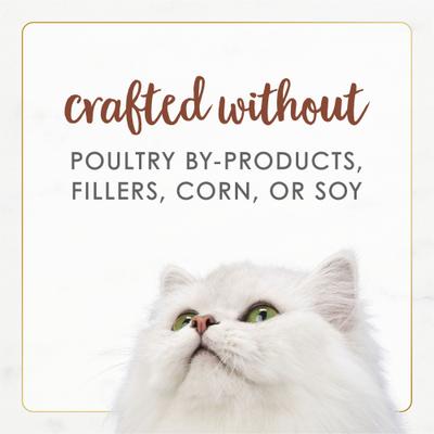 Gourmet Naturals Beef Recipe in Gravy Canned Cat Food, 3-oz, case of 12