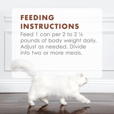 Gourmet Naturals Beef Recipe in Gravy Canned Cat Food, 3-oz, case of 12