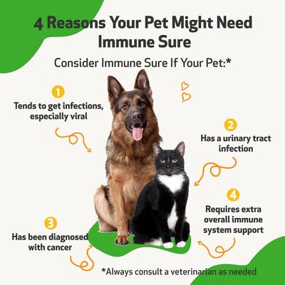 Immune SURE Liquid Immune Support Supplement for Dogs, 2-oz bottle