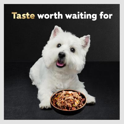 Simply Crafted Beef, Chicken, Purple Potatoes, Peas & Carrots Adult Wet Dog Food Topper, 1.3-oz, case of 10