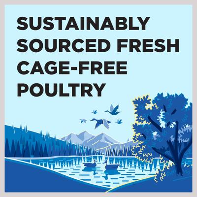 Liberty Game Bird Feast Turkey, Turkey Broth, Chicken, Duck & Turkey Liver Wet Dog Food, 12.5-oz can, case of 12