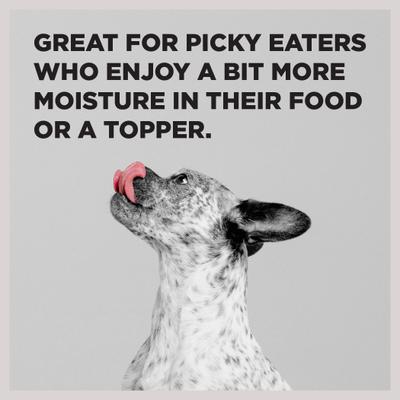 Liberty Game Bird Feast Turkey, Turkey Broth, Chicken, Duck & Turkey Liver Wet Dog Food, 12.5-oz can, case of 12