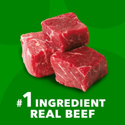 Proactive Health Minichunks Adult Beef & Rice Recipe Dry Dog Food, 7-lb bag