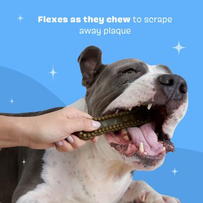 Bright Durable Large Mint Flavored Dental Dog Treats, 15 count