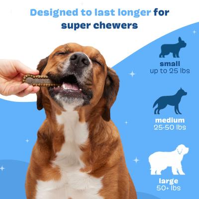 Bright Durable Large Mint Flavored Dental Dog Treats, 15 count