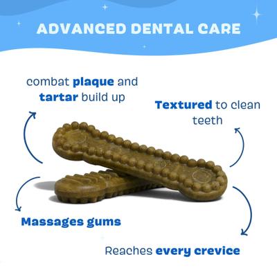 Bright Durable Large Mint Flavored Dental Dog Treats, 15 count