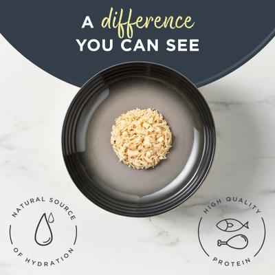 Natural Grain-Free Chicken Breast & Cheese in Broth Flavored Wet Cat Food, 2.47-oz can, case of 24