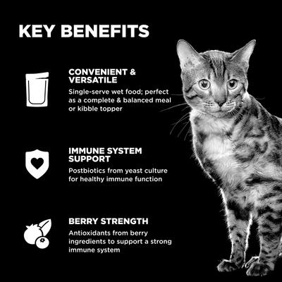 Booster Immune Health Tuna Pate Wet Cat Food, 2.5-oz pouch, 12 count