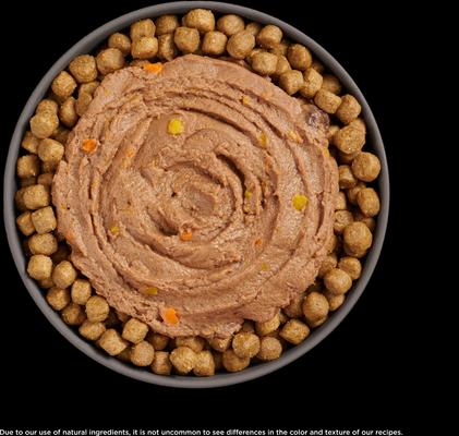 Booster Immune Health Tuna Pate Wet Cat Food, 2.5-oz pouch, 12 count