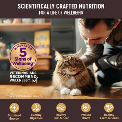 CORE Tiny Tasters Sampler Pack Natural Grain-Free Wet Cat Food, 1.75-oz pouch, case of 6