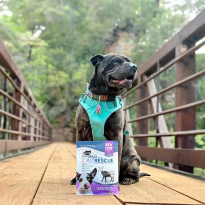 Joint Rescue Venison Flavor Soft Chew Joint Supplement for Dogs, 9-oz bag
