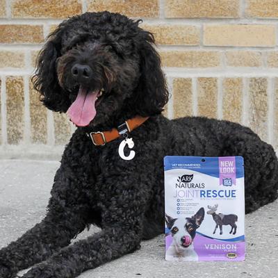 Joint Rescue Venison Flavor Soft Chew Joint Supplement for Dogs, 9-oz bag