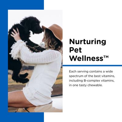 Puppy-Vite Chewable Tablets Multivitamin for Dogs, 60 count