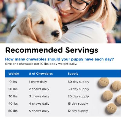 Puppy-Vite Chewable Tablets Multivitamin for Dogs, 60 count