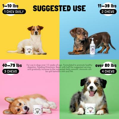 Probiotic Multivitamin Chicken Flavored Chew Supplement for Adult Dogs, 30 count