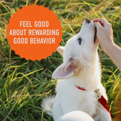 Tricky Trainers with Peanut Butter Grain-Free Soft & Chewy Dog Treats, 12-oz bag