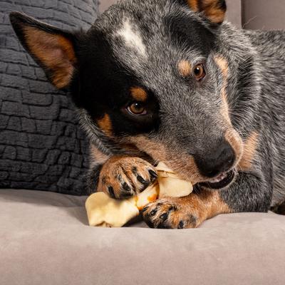 Twistedz 4 to 5-inch Beefhide Bones with Chicken Flavored Wrap Dog Hard Chews, 3 count