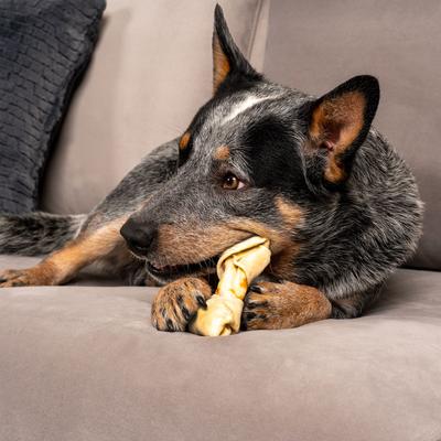 Twistedz 4 to 5-inch Beefhide Bones with Chicken Flavored Wrap Dog Hard Chews, 3 count