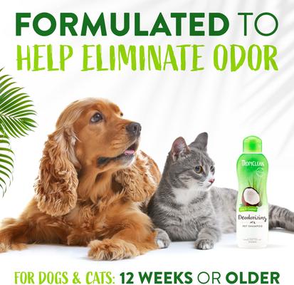 Deodorizing Aloe & Coconut Dog & Cat Shampoo, 2.5-gal bottle, bundle of 2