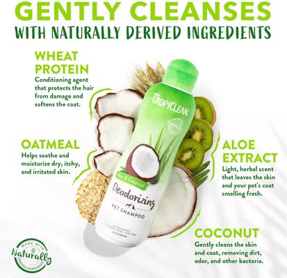 Deodorizing Aloe & Coconut Dog & Cat Shampoo, 2.5-gal bottle, bundle of 2