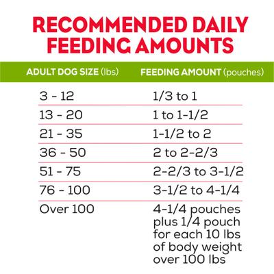 Alimento seco para perros con sabor a bistec, bolsa de 6 oz, caja de 12