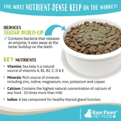 Organic Sea Kelp Powder Supplement Food Topper for Dogs & Cats, 8-oz bag