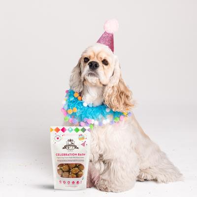 Celebration Bash Vegan Dog Treats, 6-oz bag