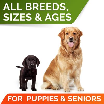 Pumpkin High Fiber Powder Stool Consistency & Softener Supplement for Dogs, 8.1-oz jar