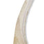 Split Moose Antler Dog Chews, 8 - 9.5 inch