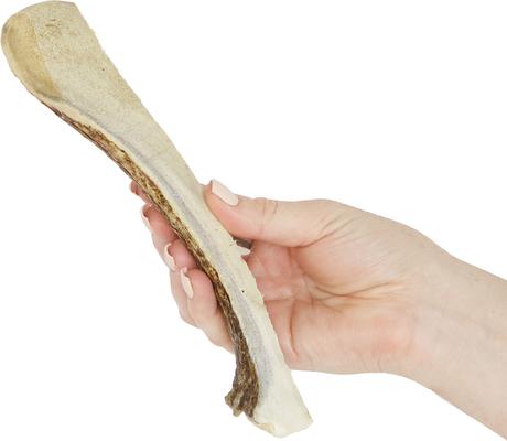 Split Moose Antler Dog Chews, 8 - 9.5 inch