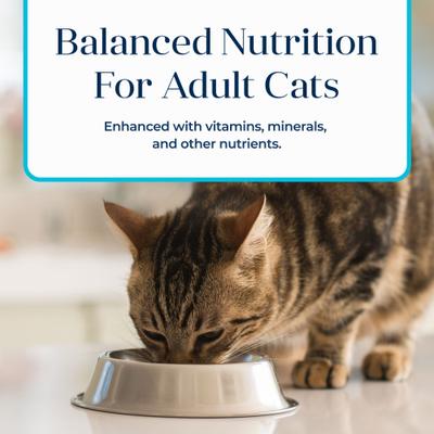 Basics Skin & Stomach Care Grain-Free Fish & Potato Entree Indoor Adult Canned Cat Food, 3-oz, case of 24