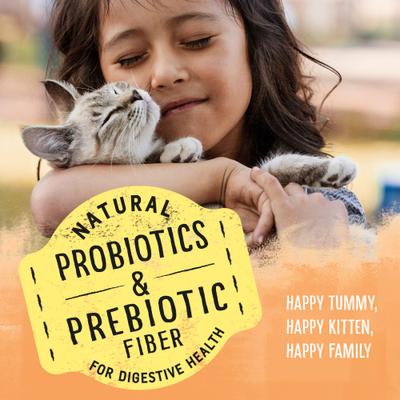 Chicken & Oatmeal Recipe Dry Kitten Food, 3-lb bag