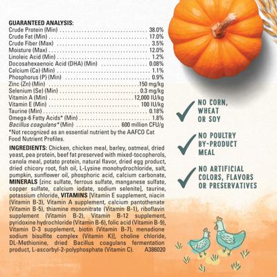 Chicken & Oatmeal Recipe Dry Kitten Food, 3-lb bag