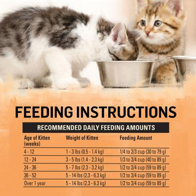 Chicken & Oatmeal Recipe Dry Kitten Food, 3-lb bag