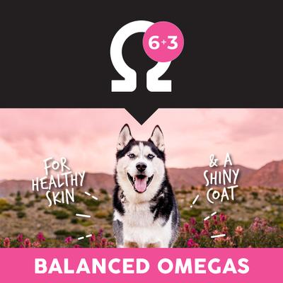 Meadow Prime Grain-Free Lamb & Potato Dry Dog Food, 28-lb bag