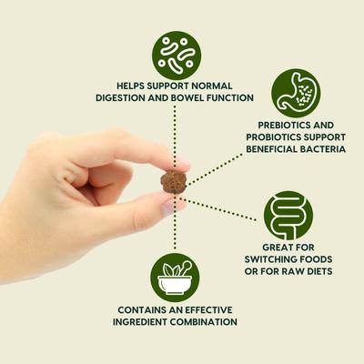 Gentle Digest Dog & Cat Soft Chews, 120 count