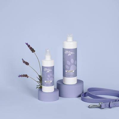 Champú calmante de lavanda y menta para perros, gatos y mascotas pequeñas, botella de 500 ml