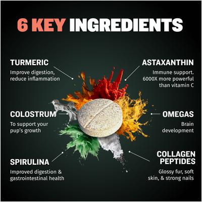 2-in-1 Development & Growth Tablet Supplement for Puppies, 3.2-oz bottle