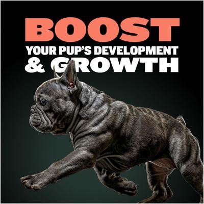 2-in-1 Development & Growth Tablet Supplement for Puppies, 3.2-oz bottle