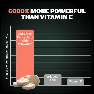 2-in-1 Development & Growth Tablet Supplement for Puppies, 3.2-oz bottle