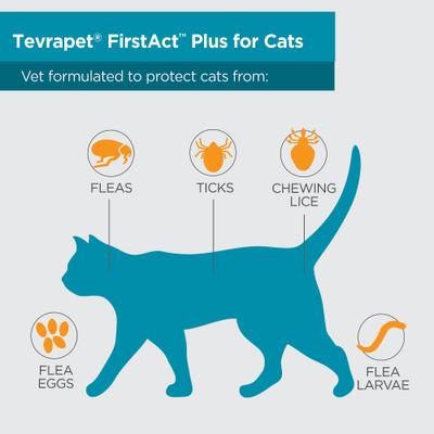 Tratamiento contra pulgas y garrapatas FirstAct Plus para gatos de más de 1,5 lb, 6 dosis