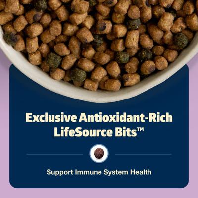 Freedom Indoor Kitten Chicken Recipe Grain-Free Dry Cat Food, 5-lb bag