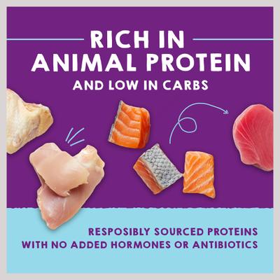 Carnivore Cravings Purrfect Pate Variety Pack Cat Food, 2.8-oz can, case of 12