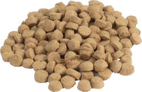 Trainers No-Corn-Wheat-Soy Chicken Oven Baked Adult Crunchy Dog Treats, 6-oz bag
