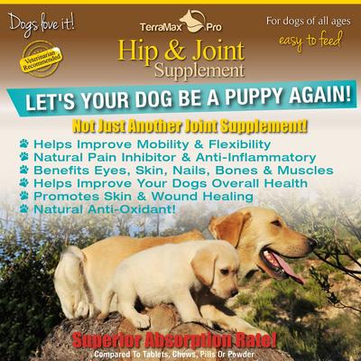 Pro Extra Strength Dog Hip & Joint Supplement, 32-fl oz bottle