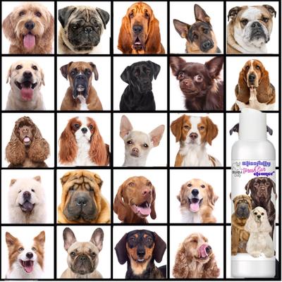 Blissfully Fresh Dog Ear Cleaner, 4-fl oz bottle