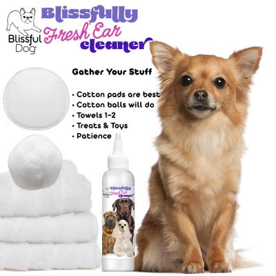 Blissfully Fresh Dog Ear Cleaner, 4-fl oz bottle