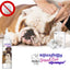 Blissfully Fresh Dog Ear Cleaner, 4-fl oz bottle