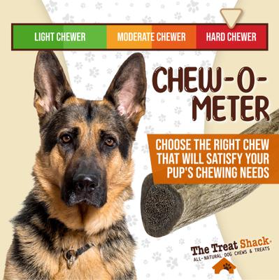 Whole Naturally Shed 6-in Deer Antler Dog Treats, Medium, 1 count